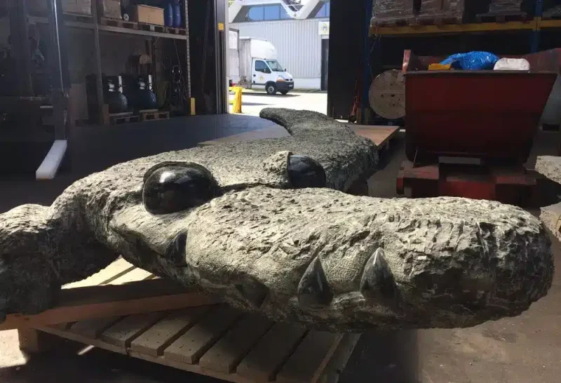 Ce passionné nous à fait confiance pour emballer avec soin son crocodile de 3 tonnes